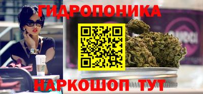 шишки Шелехов