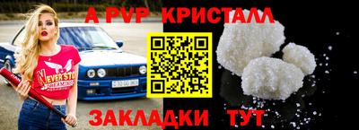 шишки Шелехов