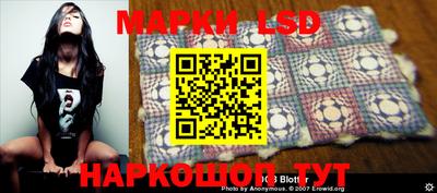 шишки Шелехов